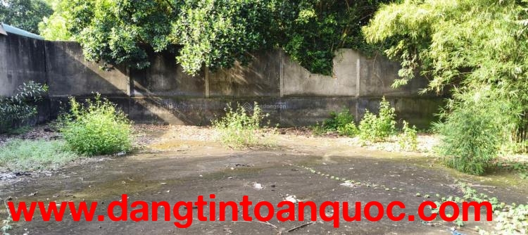 BÁN ĐẤT TẠI KHU PHỐ ĐÔNG TƯ PHƯỜNG LÁI THIÊU, TP. HCM. GIÁ CỰC CHẤT 6,5 TỶ CHO 268M2