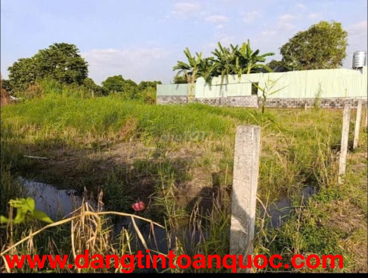 TỔNG THỂ LÔ ĐẤT DIỆN TÍCH LỚN – VỊ TRÍ ĐẸP NGAY TRỤC VÀNH ĐAI 3 – BÌNH MỸ, CỦ CHI