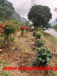 MẶT TIỀN PHÓ ĐỨC CHÍNH – NGANG GẦN 5M – XE HƠI VÀO NHÀ – TẦM 10 TỶ