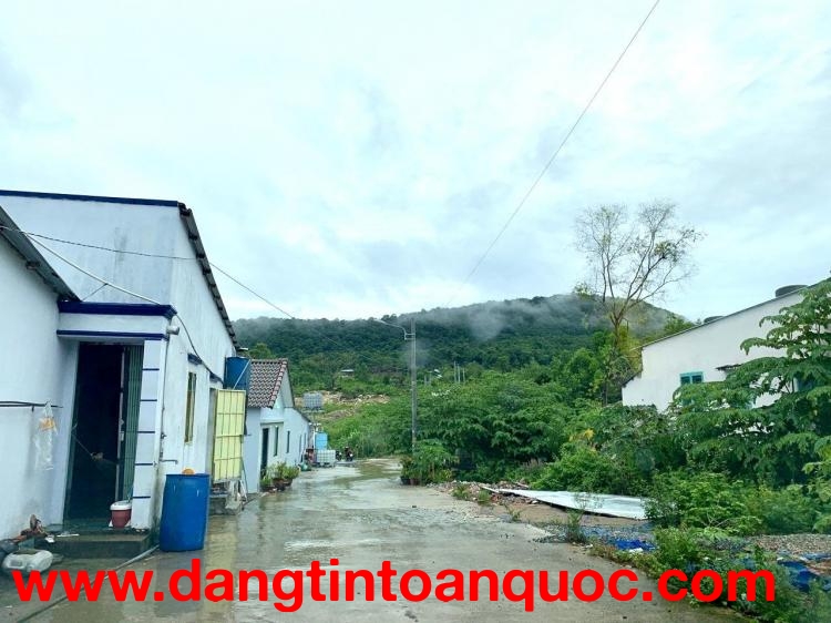 Bán đất thổ cư diện tích 1000m2 tại đặc khu Phú Quốc