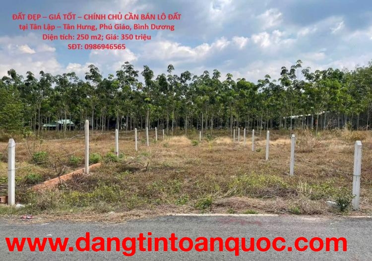 ĐẤT ĐẸP – GIÁ TỐT – CHÍNH CHỦ CẦN BÁN LÔ ĐẤT tại Tân Lập – Tân Hưng, Phú Giáo, Bình Dương