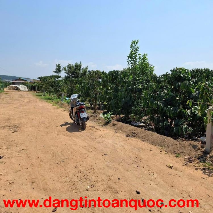 ĐẤT  ĐẸP – GIÁ TỐT – CHÍNH CHỦ CẦN BÁN NHÀ Thôn Phúc Hợp,  Phúc Thọ,  Lâm Hà, tỉnh Lâm Đồng