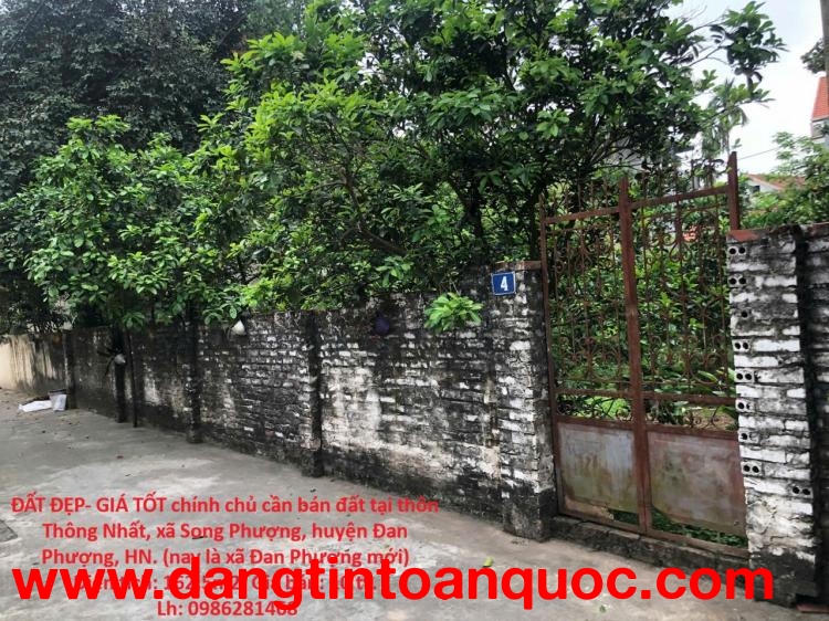 ĐẤT ĐẸP- GIÁ TỐT chính chủ cần bán đất tại thôn Thông Nhất, xã Song Phượng, huyện Đan Phượng, HN
