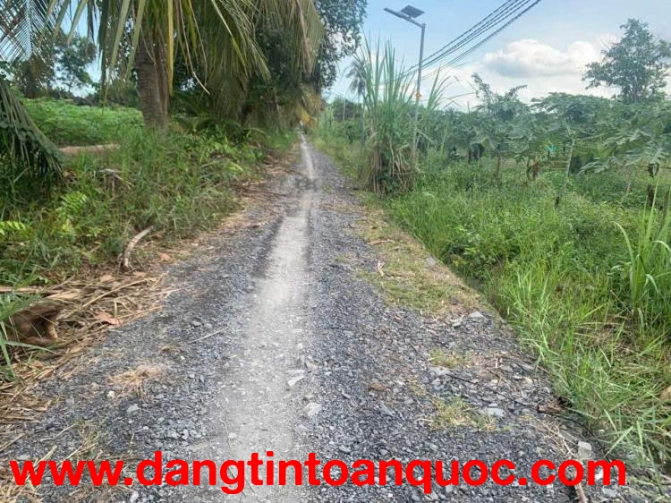 *** Đất lúa ấp 6 bình đức Bến Lức - DT : 2000m2 — 1 tỷ 6 hết diện tích