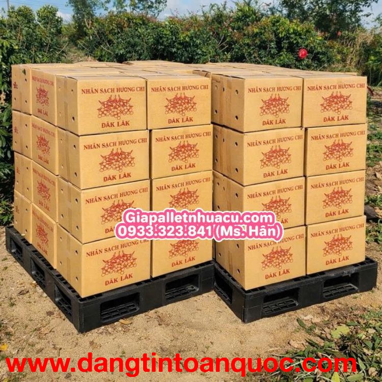 ???? ☕ Giải Pháp Kê Kho Nông Sản Kon Tum – Pallet Nhựa Siêu Bền ????