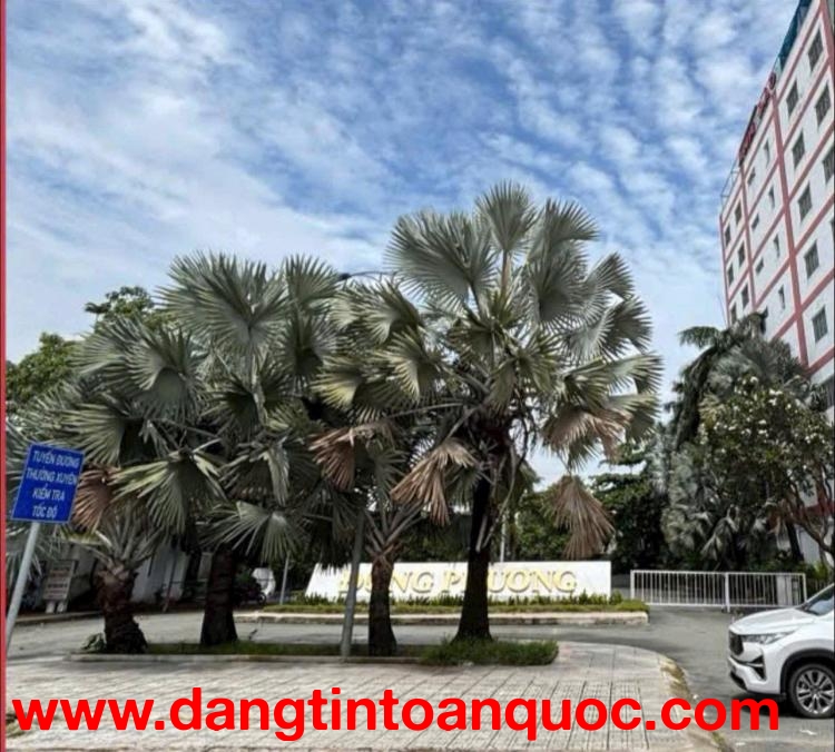 SIÊU QUỸ ĐẤT MT NGUYỄN VĂN QUÁ – 2.631M² FULL THỔ – NGANG 32M NỞ HẬU KHỦNG