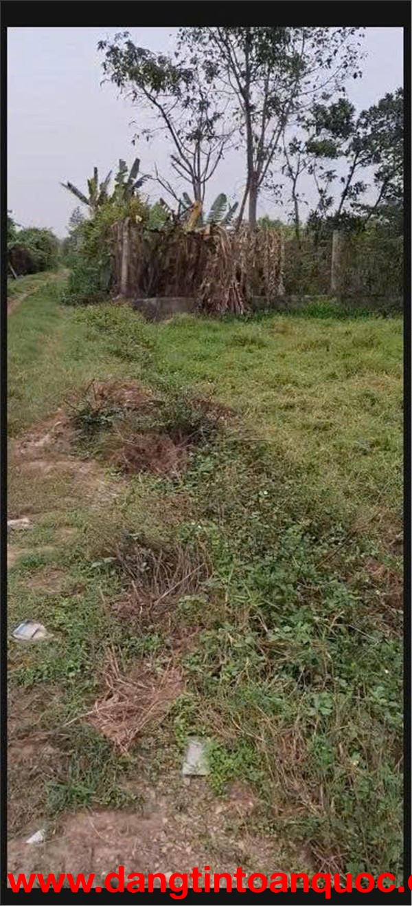 ĐẤT ĐẸP- GIÁ TỐT Chính chủ cần bán lô đất tiềm năng tại huyện Quốc Oai, TP Hà Nội