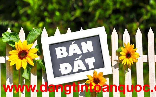 CHÍNH CHỦ CẦN BÁN ĐẤT TẠI SƠN TÂY Địa chỉ: Thôn Đồi Vua, xã Sơn Đông