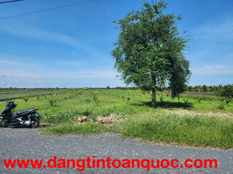 BÁN ĐẤT MẶT TIỀN – HẠ TẦNG ĐANG PHÁT TRIỂN