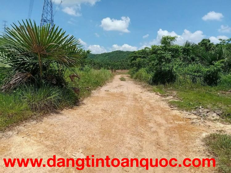 Bán 11 Ha đất Tân Lập - Hàm Thuận Nam chỉ 1.5 tỷ giấy tay