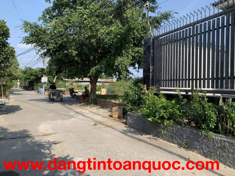 Bán Đất Đường Vĩnh Phú 32/ Khu Phố Phú Hội, Phường Vĩnh Phú, TP Thuận An, Bình Dương.