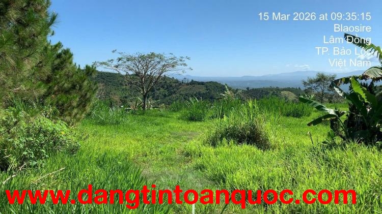 BÁN NHANH ĐẤT NGHỈ DƯỠNG HOMESTAY – LÂM ĐỒNG GIÁ TỐT