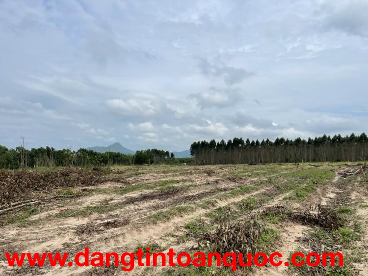 Bán 2000m2 đất Tân Bình - LaGi giảm 50% 500 triệu/1000m2 đường ô tô né nhau