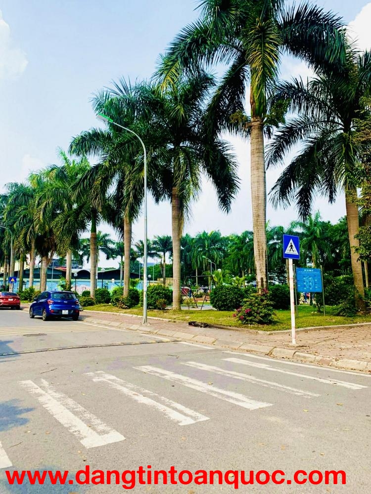 Liền kề Diamond Long Biên, 105m x 7 tầng, MT 6.5m, vị trí đắc địa, vừa ở vừa kinh doanh