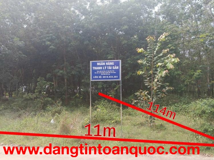 BẮC TÂN UYÊN, NGÂN HÀNG THANH LÝ ĐẤT NGANG 11M, DT 1536.8M2, ĐƯỜNG BÊ TÔNG 4M, GIÁ  1 TỶ 606