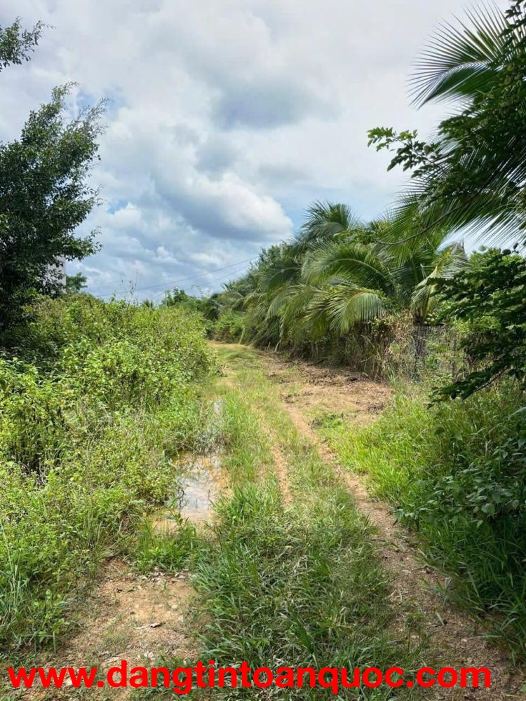 BÁN GẤP 2 SÀO ĐẤT PHÚ NGỌC – ĐỊNH QUÁN – ĐỒNG NAI