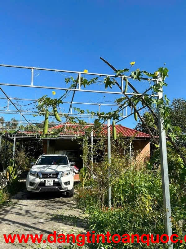 BÁN GẤP VƯỜN TRÁI CÂY VEN KÊNH – 1.100M² – CHỈ 4,8TR/M² – GIÁ MỀM HIẾM CÓ