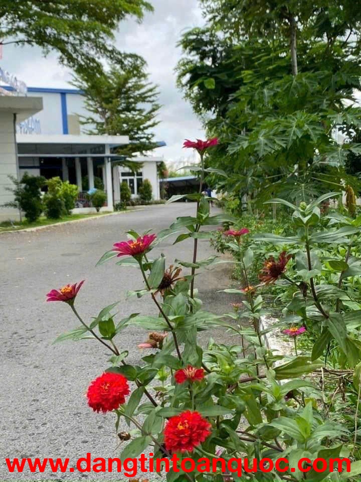 XT082 nhà xưởng sản xuất cho thuê lâu dài, thu hút nhiều ngành nghề theo QD KCN