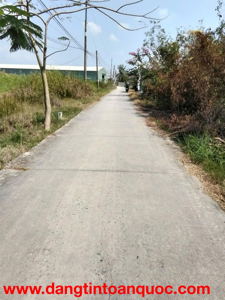 ĐẤT ĐẸP – GIÁ TỐT  – CHÍNH CHỦ CẦN BÁN GẤP Tại Xã Phước Đông, Huyện Cần Đước, Long An