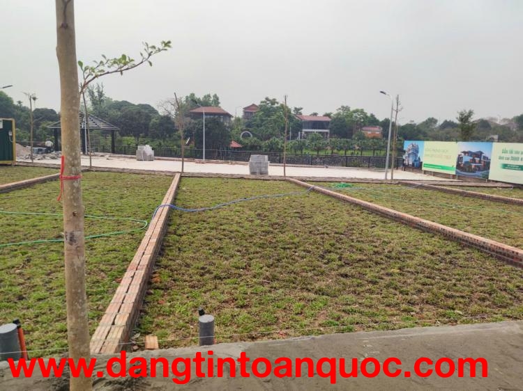 CƠ HỘI SỞ HỮU ĐẤT FULL THỔ CƯ 100m² – ĐỒNG TRẠI, CỔ ĐÔNG (SƠN TÂY