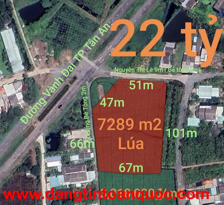 Bán gấp lô đất lúa chuyển thổ đường Vành Đai Tân An giá 22 tỷ