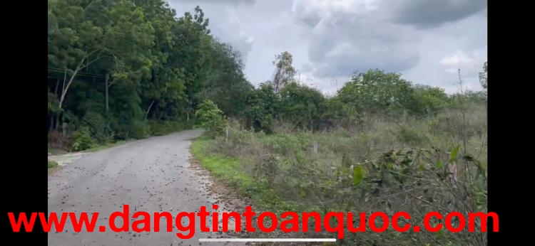 HOT - BÁN GẤP LÔ ĐẤT 702m² XÃ LONG NGUYÊN, BÀU BÀNG, BÌNH DƯƠNG – GIÁ CHỈ 1 TỶ 250, BAO SANG TÊN