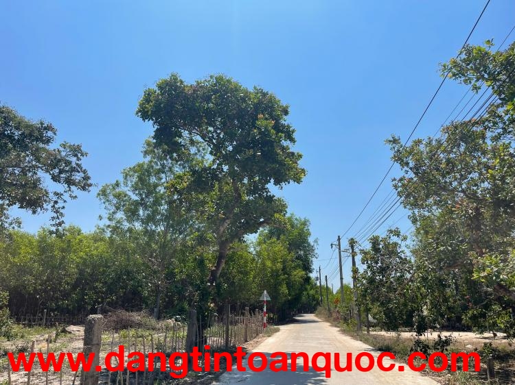 Bán 912m2 đất thổ cư Hẻm Lý Thường Kiệt, Phước Hội, LaGi giá rẻ 1.5 tỷ