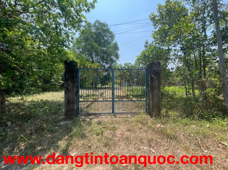 ĐẤT ĐẸP – GIÁ TỐT – CHÍNH CHỦ CẦN BÁN 2 LÔ ĐẤT An Nhơn Tây, Củ Chi, TP.HCM