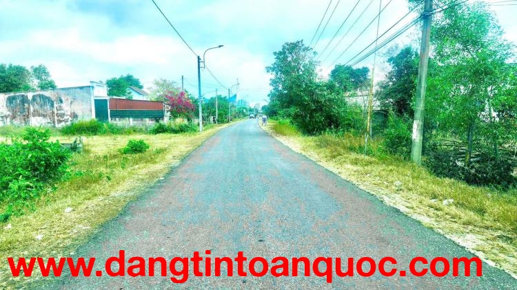 Bán 12m x 40m đất mặt tiền Nguyễn Thông, Tân Bình, LaGi giá rẻ nhất 200tr/m