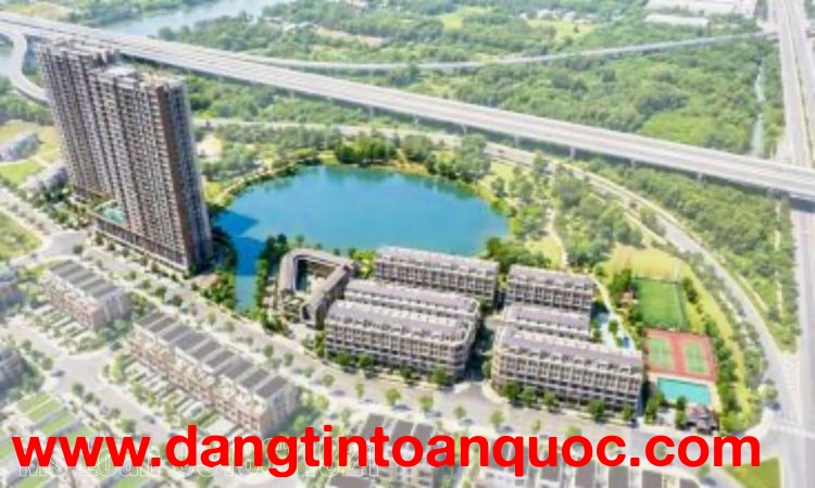 Căn hộ Mường Thanh Phú Hữu giá từ 45 triệu/m² – tiềm năng cho thuê chuyên gia khu Đông