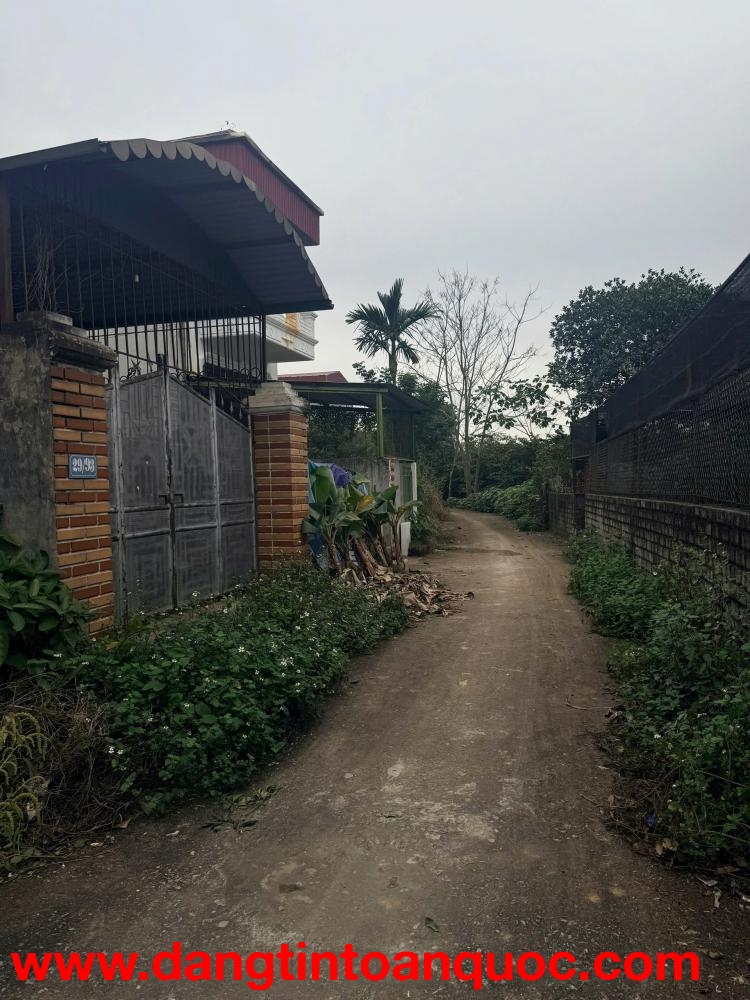 BÁN ĐẤT TRUNG TÂM TRUNG SƠN TRẦM – GIÁ CHỈ 25 TRIỆU/M²