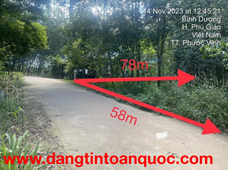 ĐẤT PHƯỚC VĨNH PHÚ GIÁO, NGÂN HÀNG THANH LÝ ĐẤT SẴN THỔ, DT 3553.7M2, NGANG 58M, Ô TÔ TIẾP CẬN