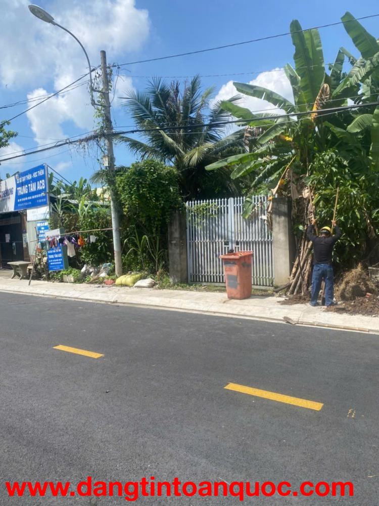 CHÍNH CHỦ CẦN CHO THUÊ ĐẤT KHU VỰC CỦ CHI, TP.HCM