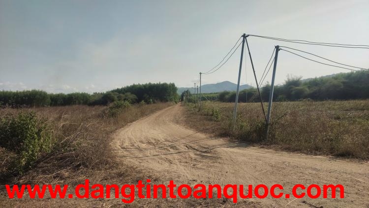 ĐẤT NỀN TÂN HÒA TỈNH LÂM ĐỒNG chỉ 4.9 tỷ