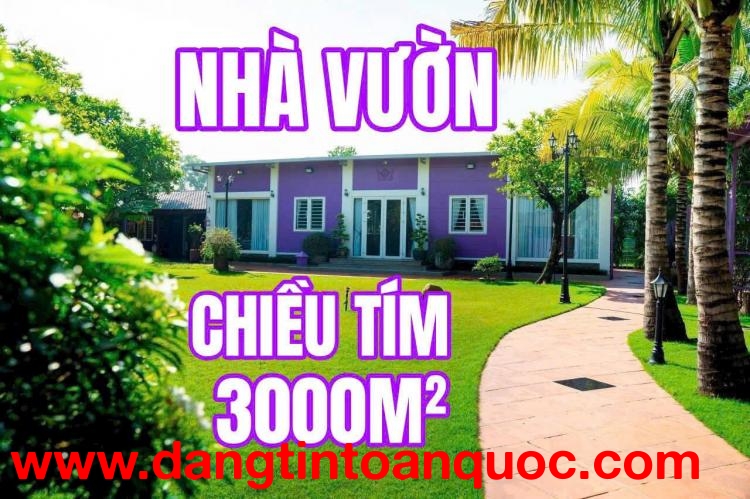 BÌNH MỸ – “NHÀ VƯỜN MÀU TÍM” 3.000M² NGỘP NGÂN HÀNG – GIẢM SỐC 2 TỶ