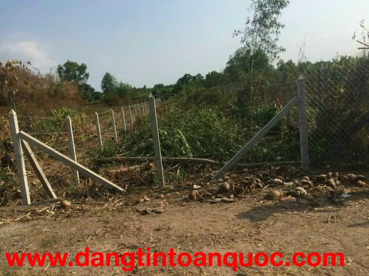 Bán đất vườn nở hậu – Hẻm xe hơi, sổ riêng chính chủ, dễ đầu tư