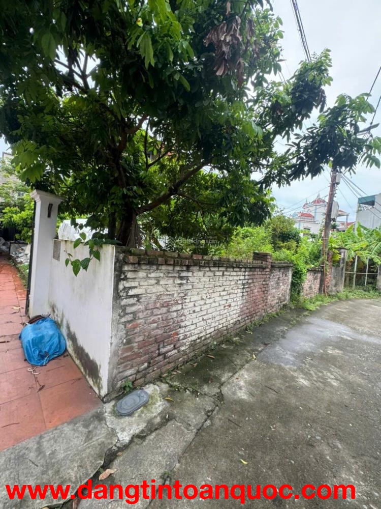 BÁN 2 MẢNH LIỀN KỀ THỔ CƯ SẴN SỔ MẶT TIỀN OTO TRÁNH GIÁ TỐT NHẤT BÁT KHỐI- GIA LÂM