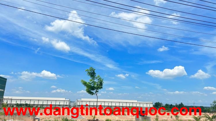 D146 chuyển nhượng quỹ đất 3ha, hạ tầng KCN hoàn thiện, sẵn sàng bàn giao SX liền