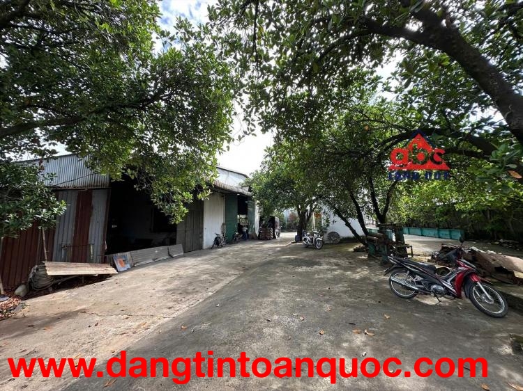 X087 bán nhà xưởng đang có dòng tiền cho thuê cao, ổn định, NX khung thép tiền chế