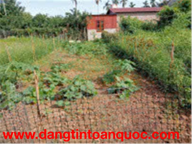 ĐẤT ĐẸP- GIÁ TỐT- SỞ HỮU NGAY Lô đất thổ cư 66 m2 tại xã Phúc Thọ-Hà Nội