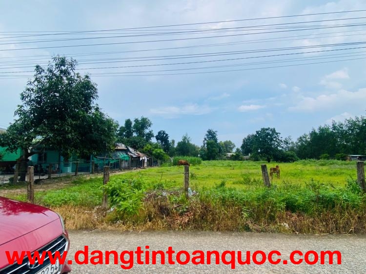 Bán 40m x 80m đất ONT Đường số 9 - Tân Xuân - Hàm Tân giá đầu tư