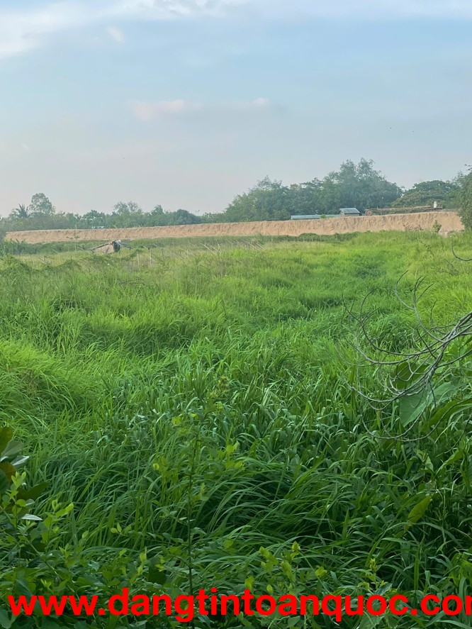 BÁN 3000M2 (15x200) - ĐẤT CÁI RĂNG, TP Cần Thơ - LỘ 91C 40m đang thi công - VIEW Sông gạch Ông Tiêm