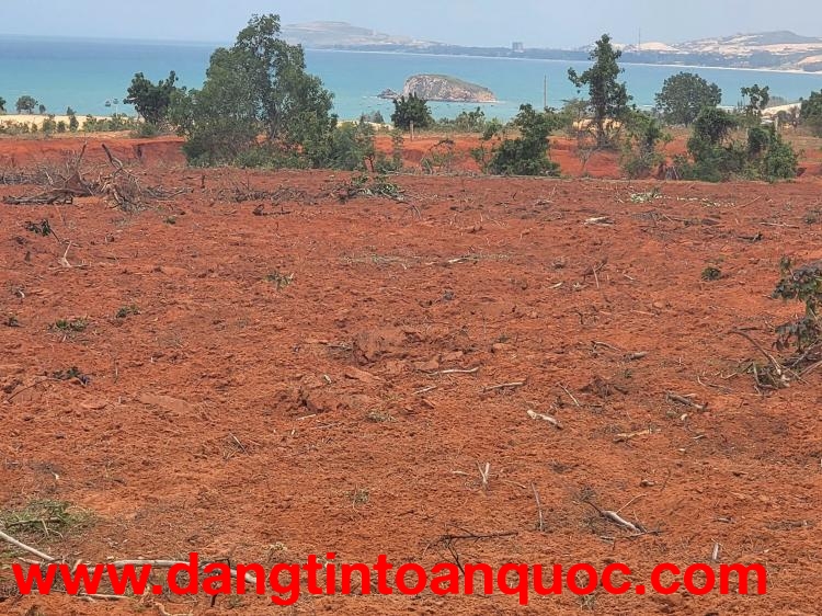 BÁN 4 LÔ ĐẤT LIỀN KỀ – GIÁ CHỈ 1 TRIỆU/M² – CƠ HỘI ĐẦU TƯ HẤP DẪN