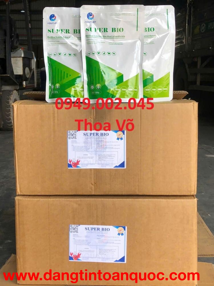 SUPER BIO – Men Vi Sinh Đường Ruột, Tạo Màu Nước, Xử Lý Đáy Ao & Khí Độc Hiệu Quả
