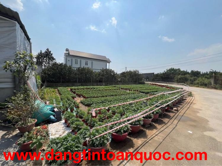 CHÍNH CHỦ Bán hai lô đất măt tiền đường Bến Đôi, Đồng Nai - Giá 2 lô 2,3 tỷ có 100 thổ cư