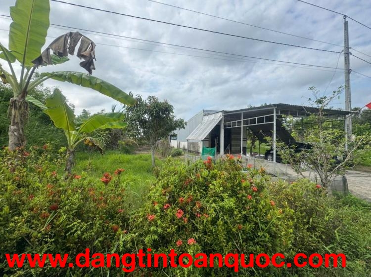 BÁN 15000M2 ĐẤT NÔNG NGHIỆP CÓ SẴN NHÀ PHÙ HỢP NGHỈ DƯỠNG  Xã Khánh An,  U Minh, Cà Mau