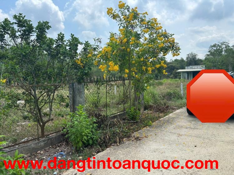 Chính chủ bán gấp đất 920m2 tại chợ Định Hiệp