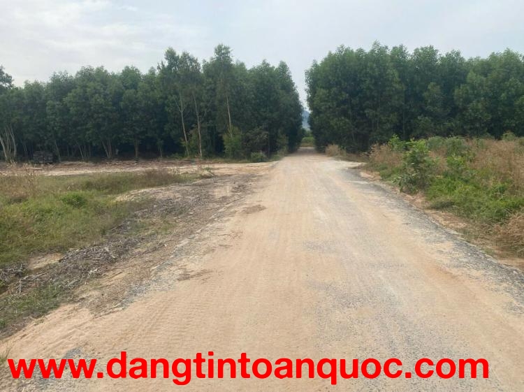 Bán 2 sào đất mặt tiền Lê Đức Thọ - Tân Bình - LaGi giá ngộp 800 triệu