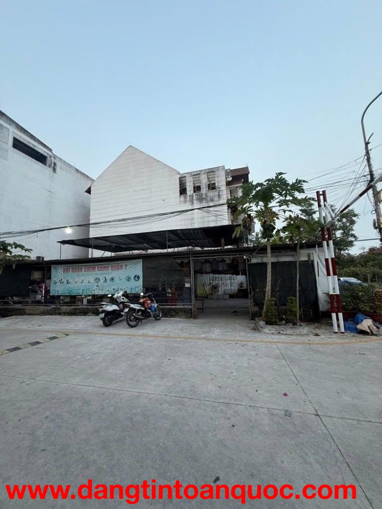 Quận 7, Hiếm, Căn Góc 10x21m, Chỉ 29 Tỷ, Đường Lê Văn Lương, P Tân Hưng, Bán Gấp