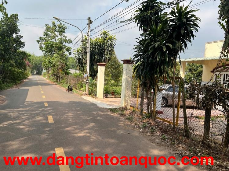 CẦN BÁN NHÀ VÀ ĐẤT LÔ GÓC 2 MẶT TIỀN – DIỆN TÍCH LỚN, GIÁ TỐT TẠI BẾN TƯỢNG, BẾN CÁT, TP HCM.